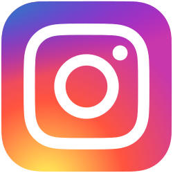 250px Instagram logo 2016.svg