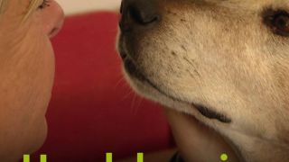 Tiere suchen ein Zuhause - Hundehospiz: Am Ende nicht alleine! | Facebook